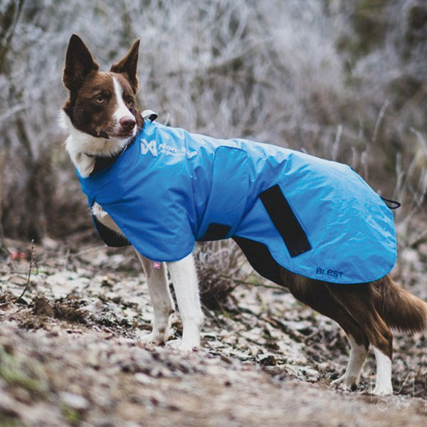 NON-STOP BLEST JACKET