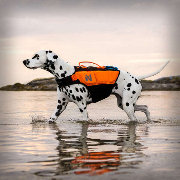 PROTECTOR LIFE SCHWIMMWESTE