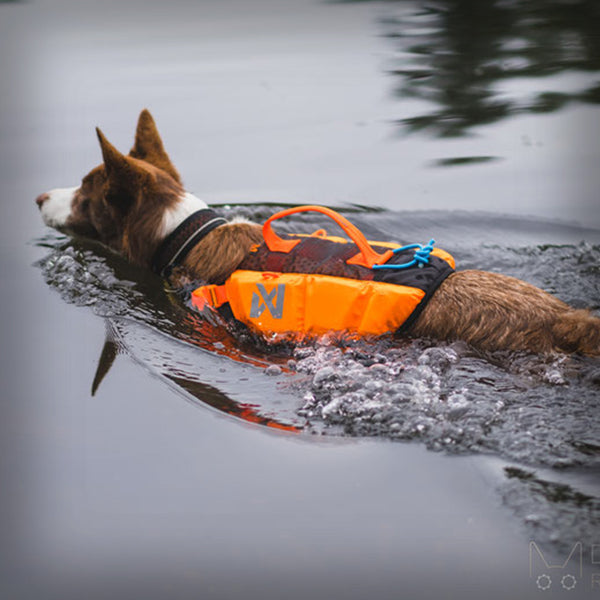 PROTECTOR LIFE SCHWIMMWESTE
