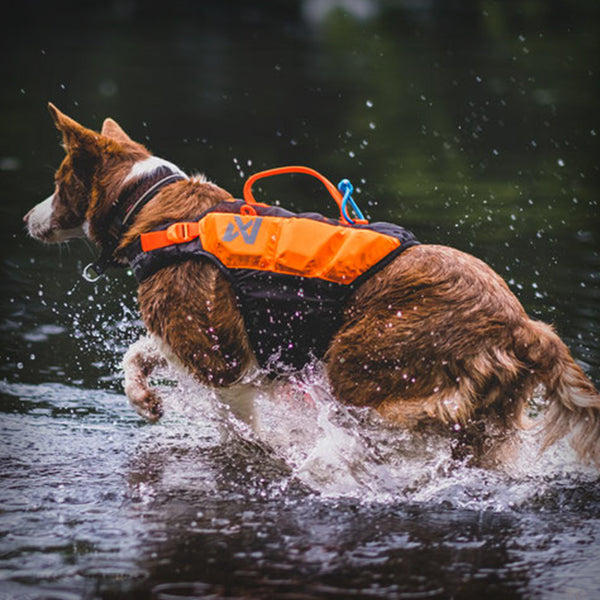 PROTECTOR LIFE SCHWIMMWESTE