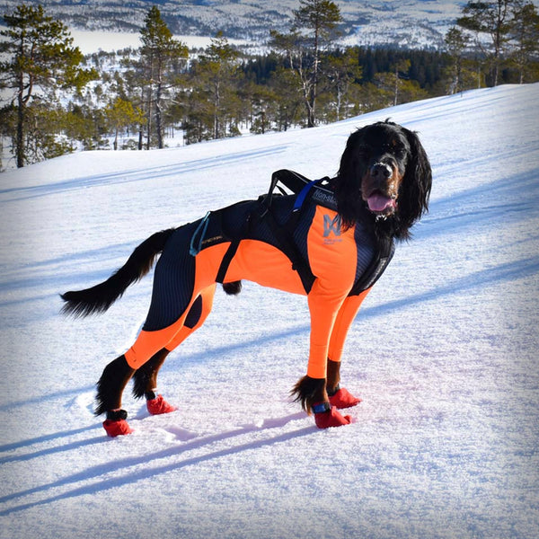 NON-STOP PROTECTOR SNOW