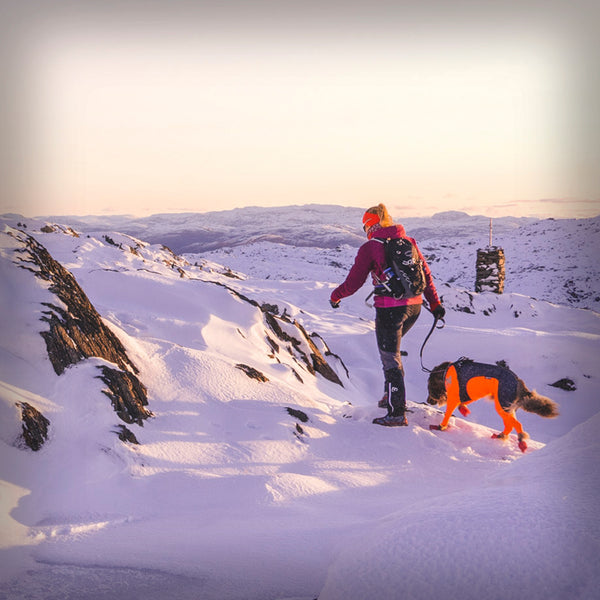 NON-STOP PROTECTOR SNOW