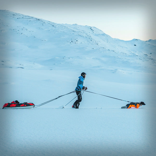 NON-STOP PROTECTOR SNOW