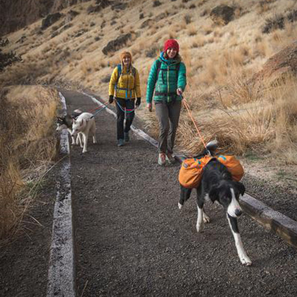 LEINE KNOT-A-LEASH 1.50M