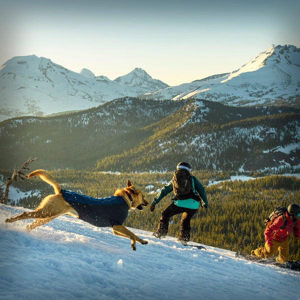 RUFFWEAR CLOUD CHASER JACKET SOFTSHELL