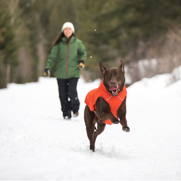 RUFFWEAR INSULATED JACKET- Die warme, verpackbare Ruffwear-Hundejacke Quinzee trotzt dem Wetter mit Synthetikfutter und sorgt bei extrem kaltem und rauem Wetter für Wärme. Zur Aufbewahrung lässt sich die Hundejacke in eine integrierte Stopftasche stopfen. Auf beiden Seiten der Jacke sorgen Klickverschlüsse für guten Halt bei der Bewegung und ermöglichen einfaches An- und Ausziehen.