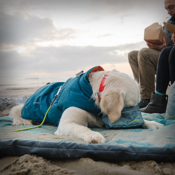 QUINZEE INSULATED JACKET