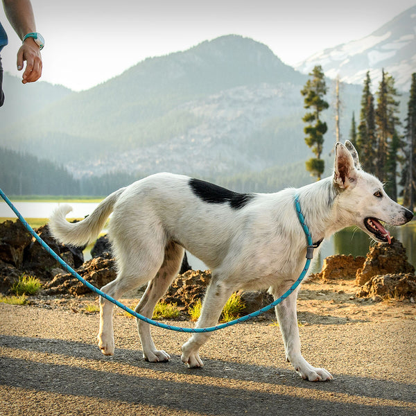 JUST-A-CINCH LEINE 1.50M