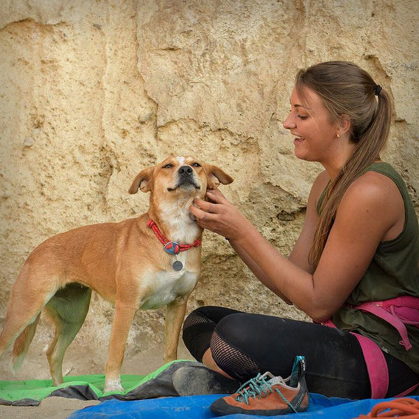 SEILHALSBAND KNOT-A-COLLAR