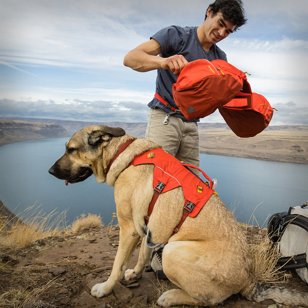 PALISADES HUNDERUCKSACK