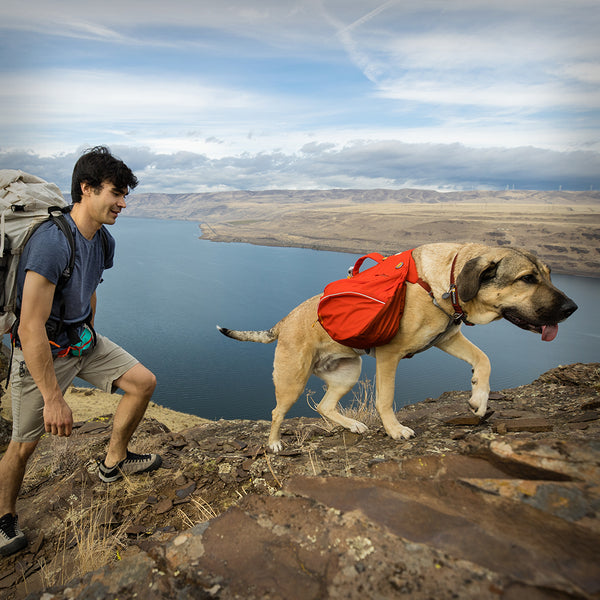 PALISADES HUNDERUCKSACK