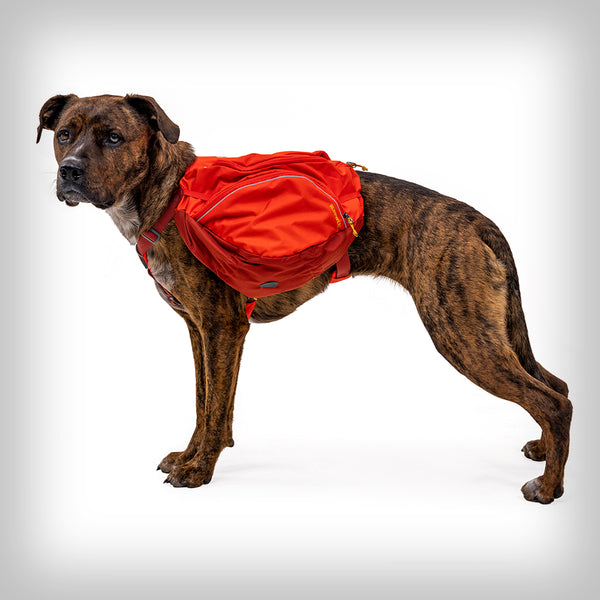 PALISADES HUNDERUCKSACK