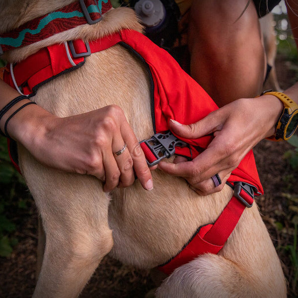 SWITCHBAK HUNDEGESCHIRR