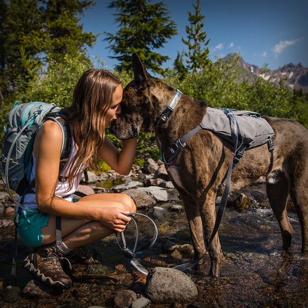 SWITCHBAK HUNDEGESCHIRR