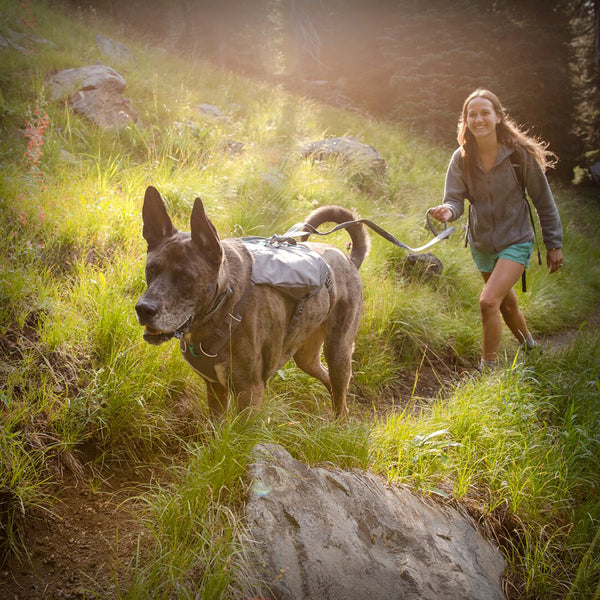 SWITCHBAK HUNDEGESCHIRR