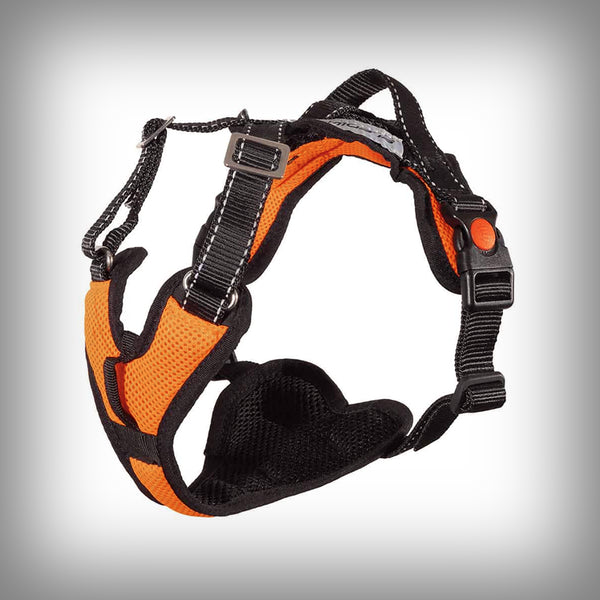 MOUNTAIN PRO HARNESS