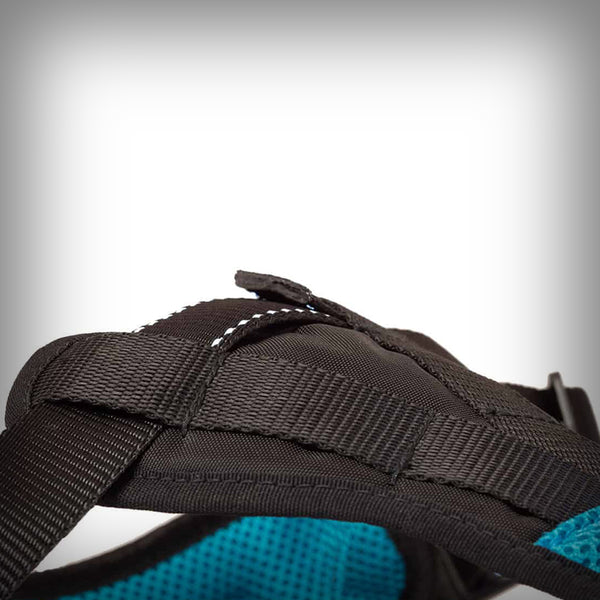 MOUNTAIN PRO HARNESS