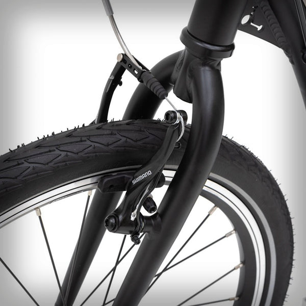 TWENTY MAX FOLD (G6)