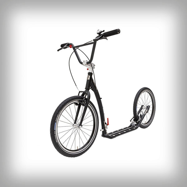 TWENTY MAX FOLD (G6)