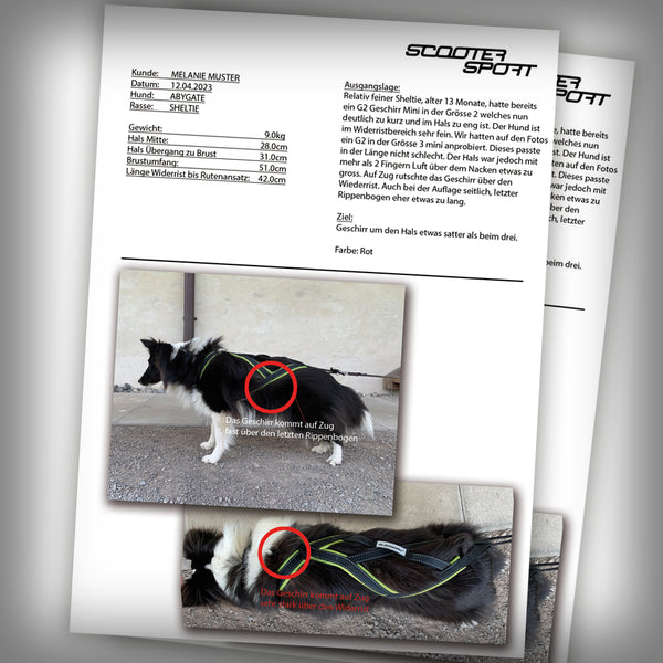 SLEDWORK XBACK ACTIVE G2 MINI