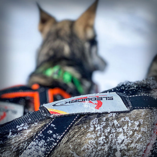 SLEDWORK XBACK ACTIVE G2 MIDI