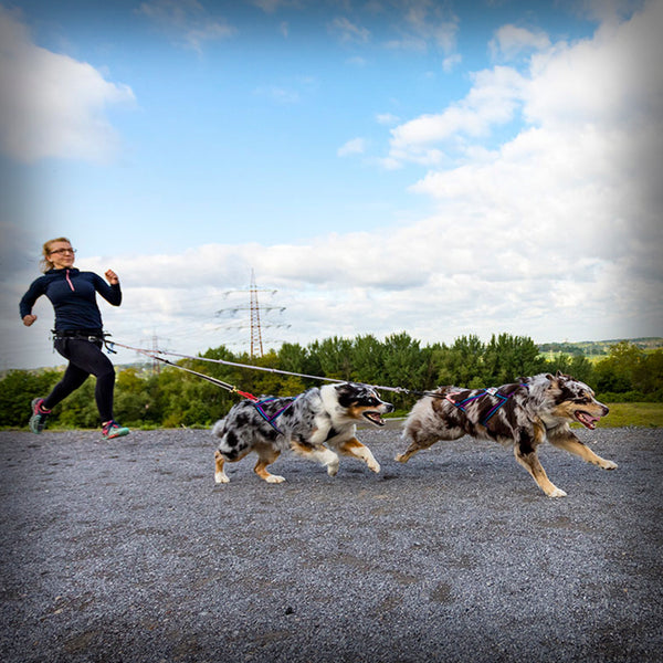 SLEDWORK XBACK ACTIVE G2 MIDI