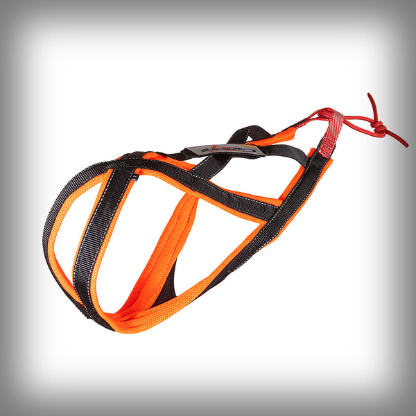 SLEDWORK XBACK ACTIVE G2 MIDI