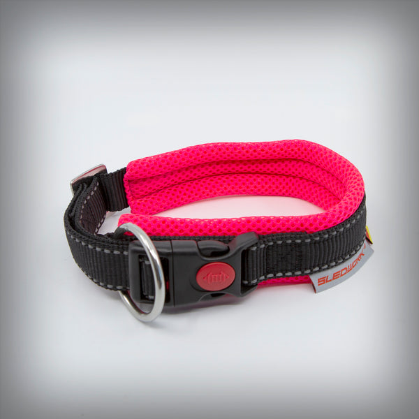 HALSBAND RACING - ARCTIC CLICK