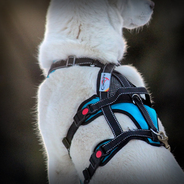 OPEN RANGE HARNESS