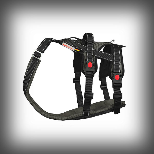 OPEN RANGE HARNESS