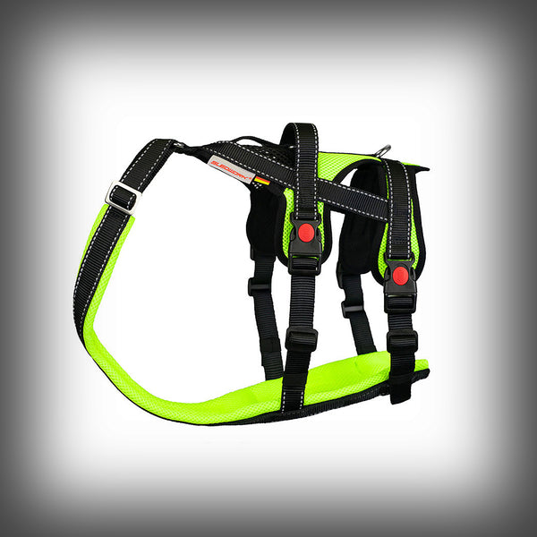 OPEN RANGE HARNESS