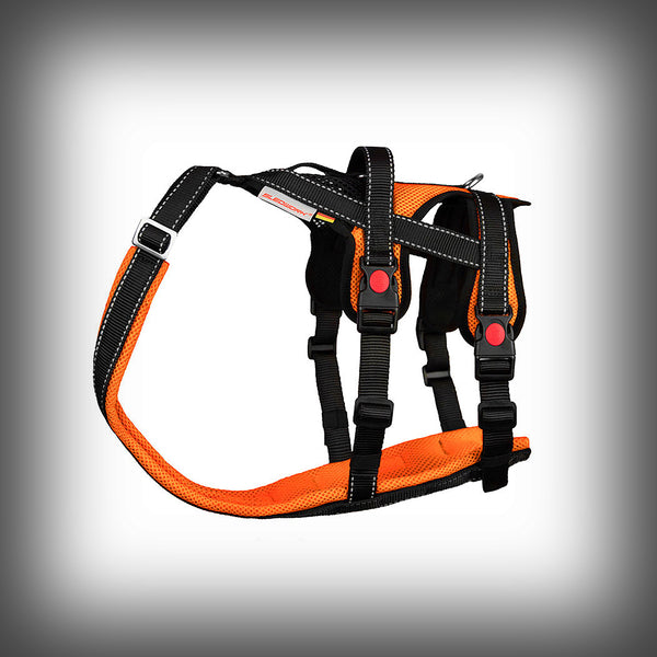OPEN RANGE HARNESS