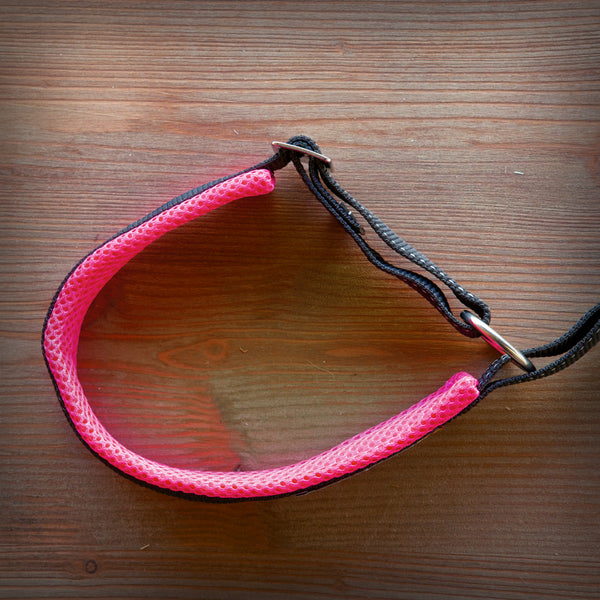 HALSBAND SAFETY - ACTIVE ZUGSTOP