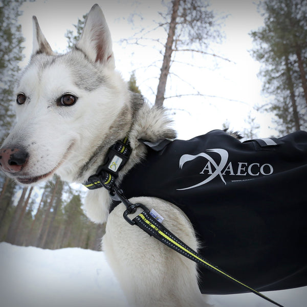 AXAECO TITTGUARD ICE-OLATION