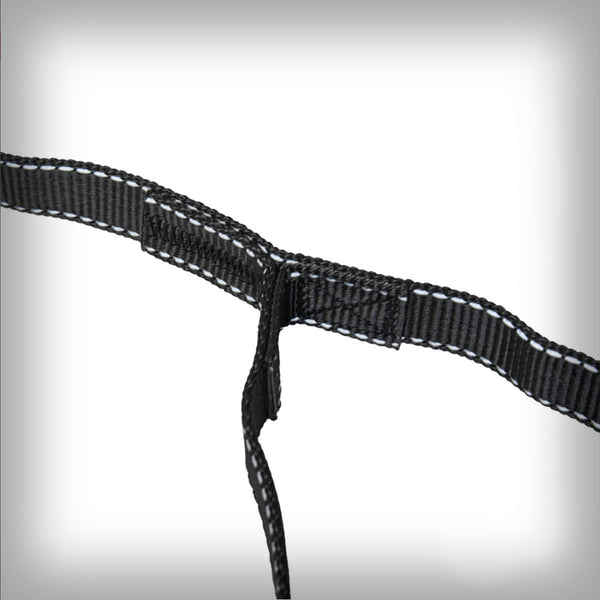 THE BLACK ONE BIKE / SCOOTER 2 HUNDE