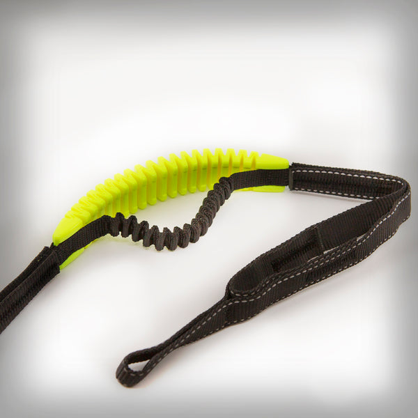 THE BLACK ONE BIKE / SCOOTER 2 HUNDE