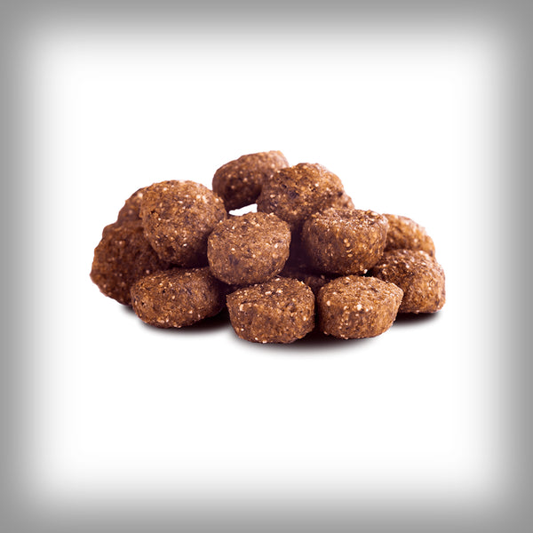 PFERD ADULT TROCKENFUTTER (MINI) VON THE GOODSTUFF – SCOOTERSPORT