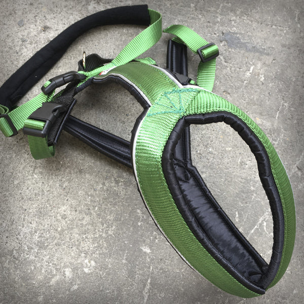TREKKING-HARNESS