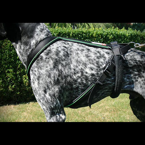 TREKKING-HARNESS PROFESSIONAL