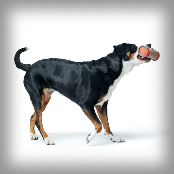 TRAINER SNACK DUMMY TOUGH POMBAS