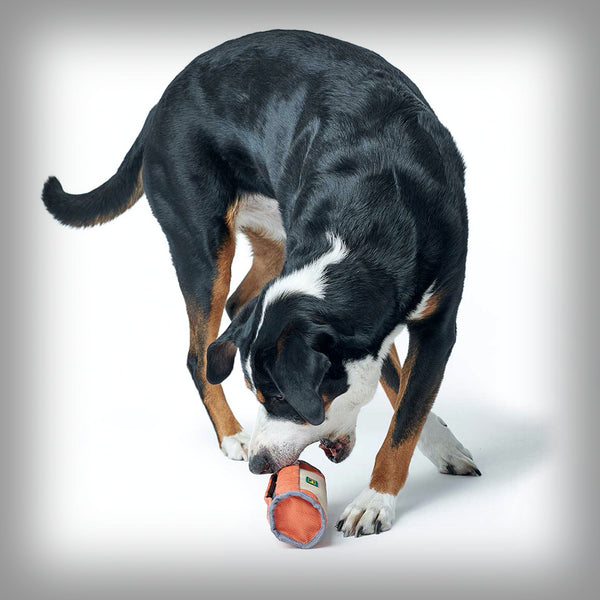 TRAINER SNACK DUMMY TOUGH POMBAS