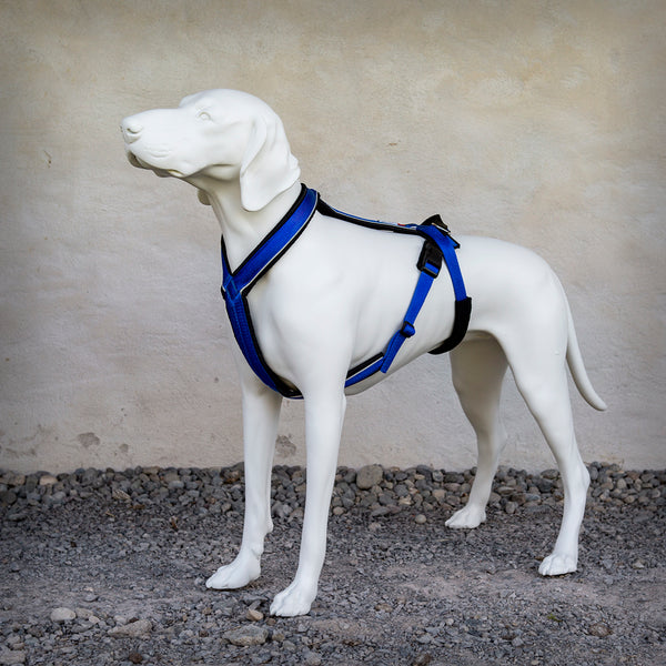 TREKKING-HARNESS PROFESSIONAL