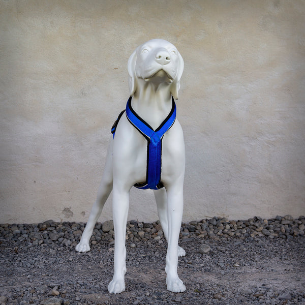 TREKKING-HARNESS