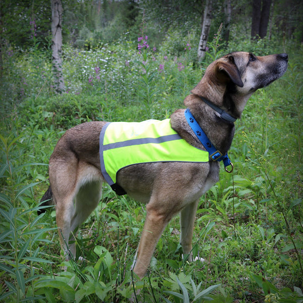 AXAECO TRAPPER WARN WESTE