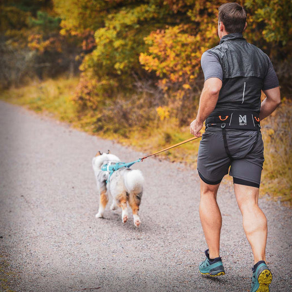 GURT TREKKING BELT 2.0