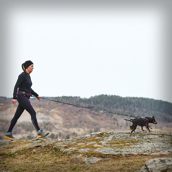 GURT TREKKING BELT 2.0