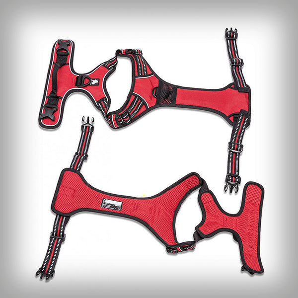 BRUSTGESCHIRR TL EDDA