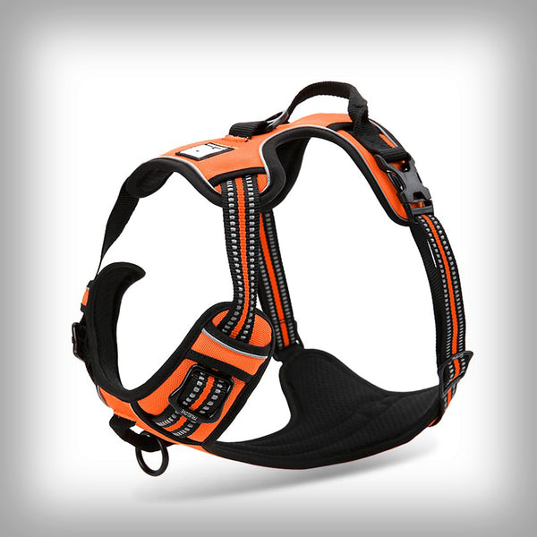 BRUSTGESCHIRR TL EDDA