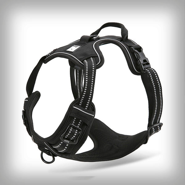 BRUSTGESCHIRR TL EDDA