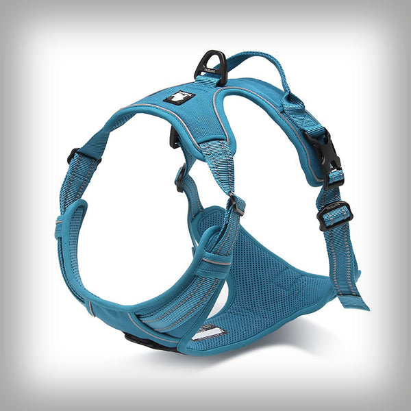 BRUSTGESCHIRR TL EDDA